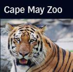 Cape May County Park And Zoo