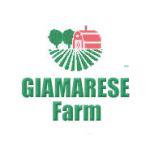 Giamarese Farm
